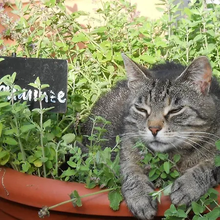 Hotel Restaurant Sonnenhof 3*