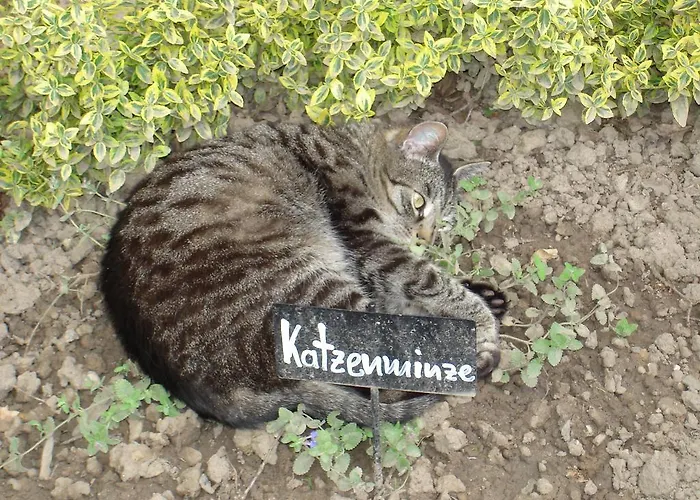 Restaurant Sonnenhof