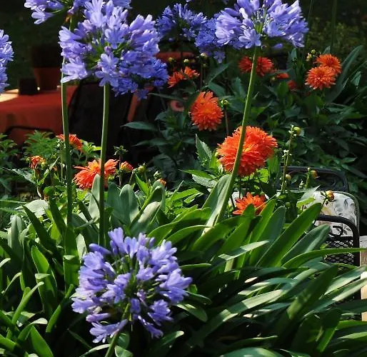 Hotel Restaurant Sonnenhof Weyerbusch