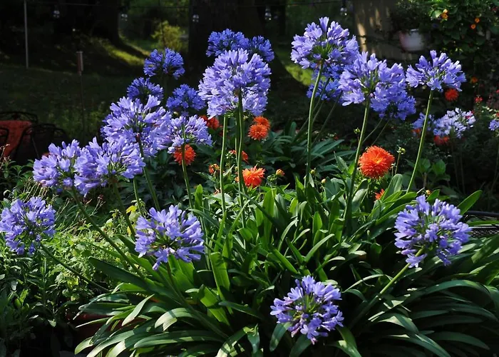 Hotel Restaurant Sonnenhof Weyerbusch