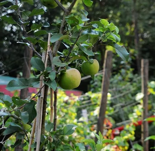 Restaurant Sonnenhof